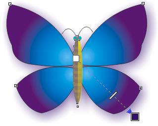 Coreldraw造型工具与交互设置画蝴蝶