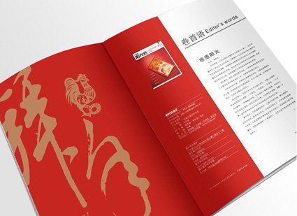 陈涌新品牌设计:画册设计作品