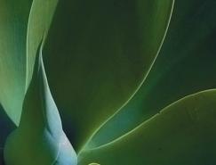 Photoshop色阶制作水粉特效