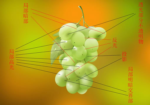 Photoshop鼠绘实例: 鲜美葡萄
