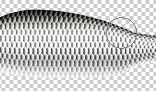 Photoshop鼠绘实例: 鲤鱼