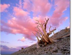 摄影教程:风光摄影要诀