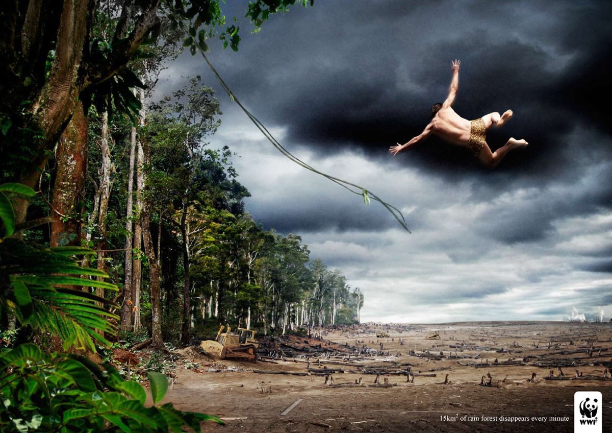 发人深省的经典WWF公益广告