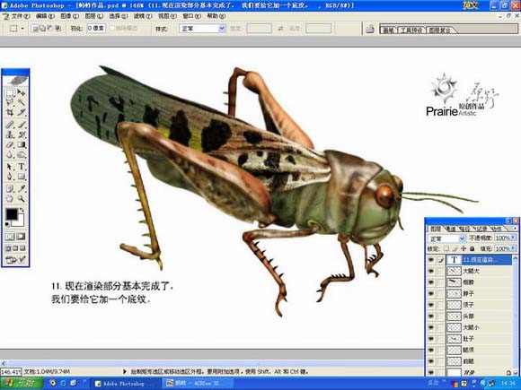 PS绘制蚂蚱教程