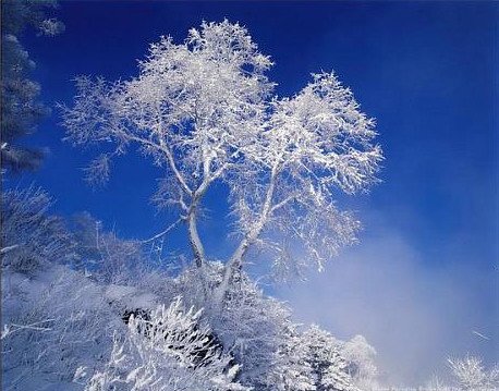 冰雪摄影需要注意的细节