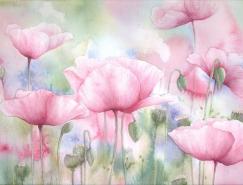 louise花卉插画作品欣赏