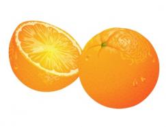 水果系列:桔子橙子矢量素材