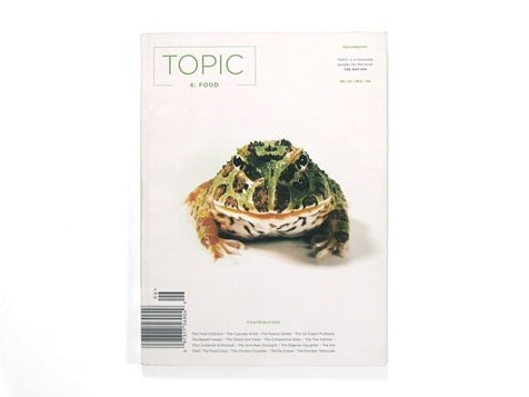 TOPIC杂志版式设计