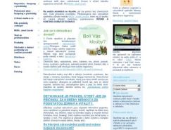 Positivezero网页设计作品