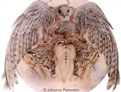 Johanna&nbsp;Pieterman插画欣赏