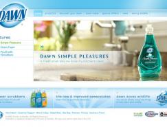 DAWN日化用品清爽的网页设计