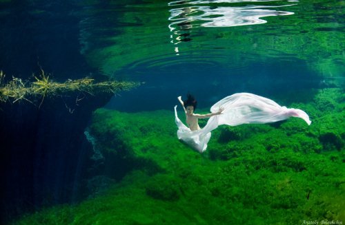 美仑美奂的水下摄影艺术