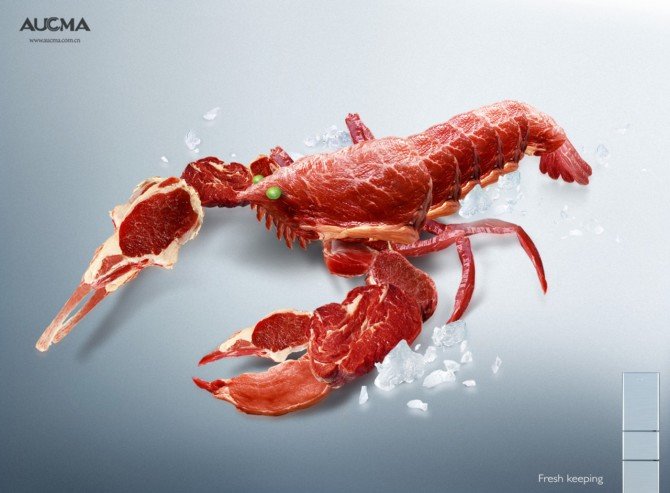 澳柯玛ACUMA冰箱平面创意广告欣赏