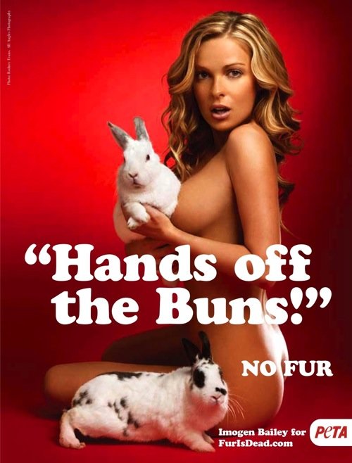 国际动物保护组织PETA平面公益广告