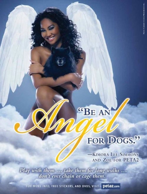 国际动物保护组织PETA平面公益广告