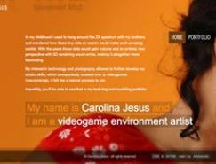 20个国外漂亮的暖色调网站欣赏