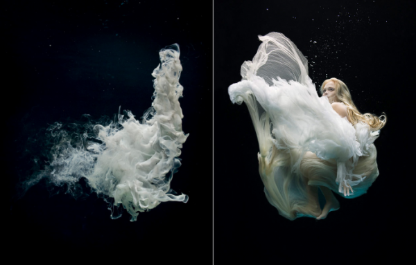 水下摄影师ZENA HOLLOWAY作品欣赏