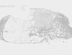 酷站欣赏:&nbsp;Cushnie&nbsp;et&nbsp;Ochs时装网站