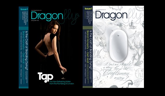 设计类杂志Dragonfly时尚版面设计