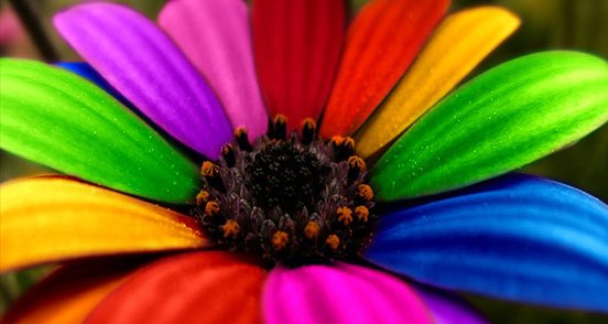 彩虹风格：30张色彩缤纷照片欣赏