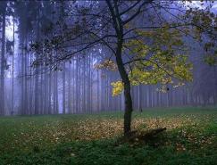 27张出众的风景摄影作品