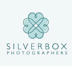 Silver Box Logo