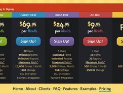 77个价格表网页设计