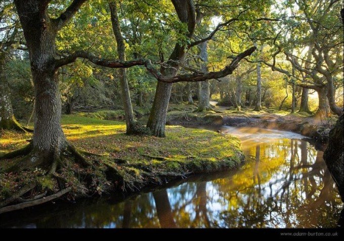 12张绝美的秋天树林摄影欣赏