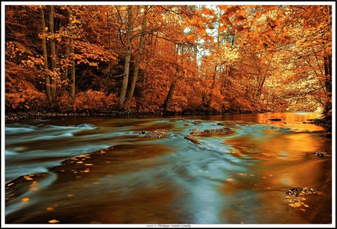 12张绝美的秋天树林摄影欣赏