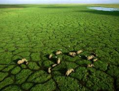 George&nbsp;Steinmetz滑翔伞下的壮美风景