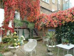 伦敦漂亮的乔治亚风格(Georgian)建筑室内设计