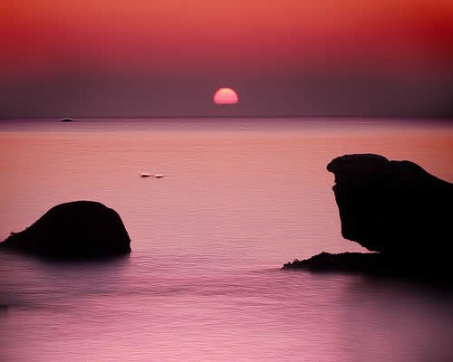 3315237307_e7465ff114