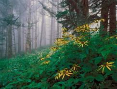 Adam&nbsp;Jones漂亮的自然风光摄影作品