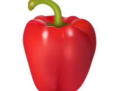 Photoshop制作一个逼真的红辣椒