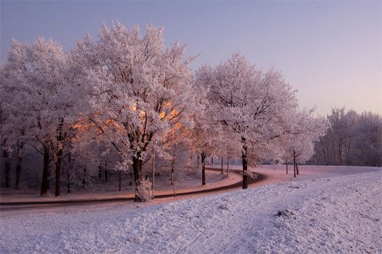 玉洁冰清：冬季摄影作品欣赏