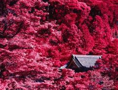 William&nbsp;White自然风光摄影作品