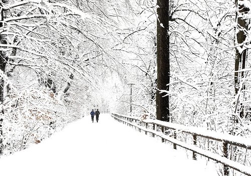 一组漂亮的冬季雪景照片欣赏