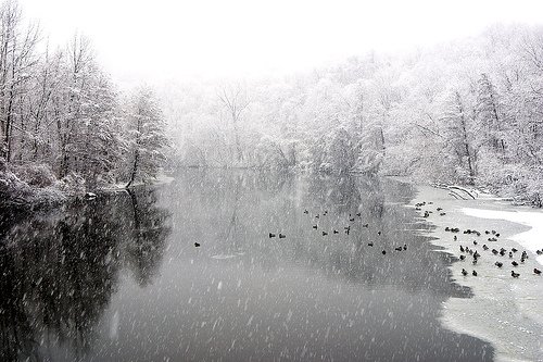 一组漂亮的冬季雪景照片欣赏