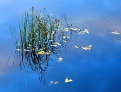 Ian&nbsp;Cameron漂亮的自然风光摄影