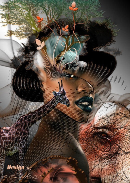 40张非洲风情的数字艺术插画作品