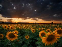 18张美丽的风光摄影