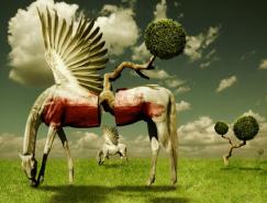 Teodoru&nbsp;Badiu漂亮的数字艺术作品