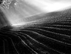 30张精彩的自然光线摄影作品