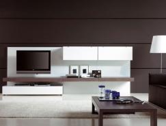 国外清新的客厅书架设计