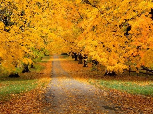 50张漂亮的秋天景色摄影