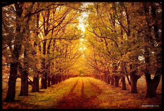 50张漂亮的秋天景色摄影