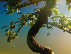 葡萄牙摄影师Miguel&nbsp;Rita风光摄影