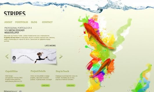 30个水为主题风格的网站设计