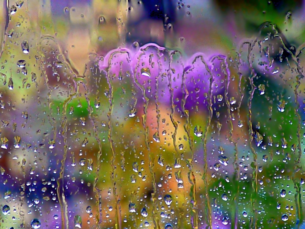 20张美丽的雨景摄影作品
