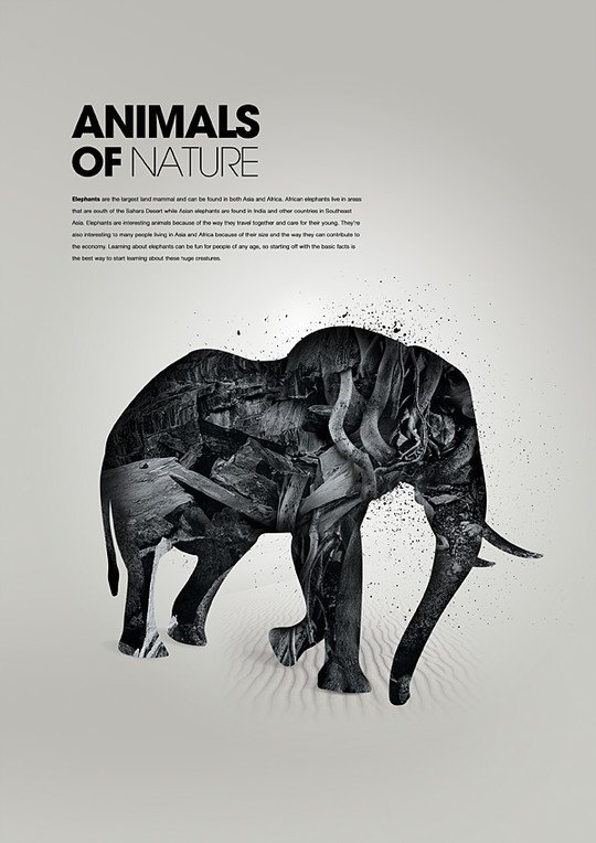 25张奇异的动物插画作品